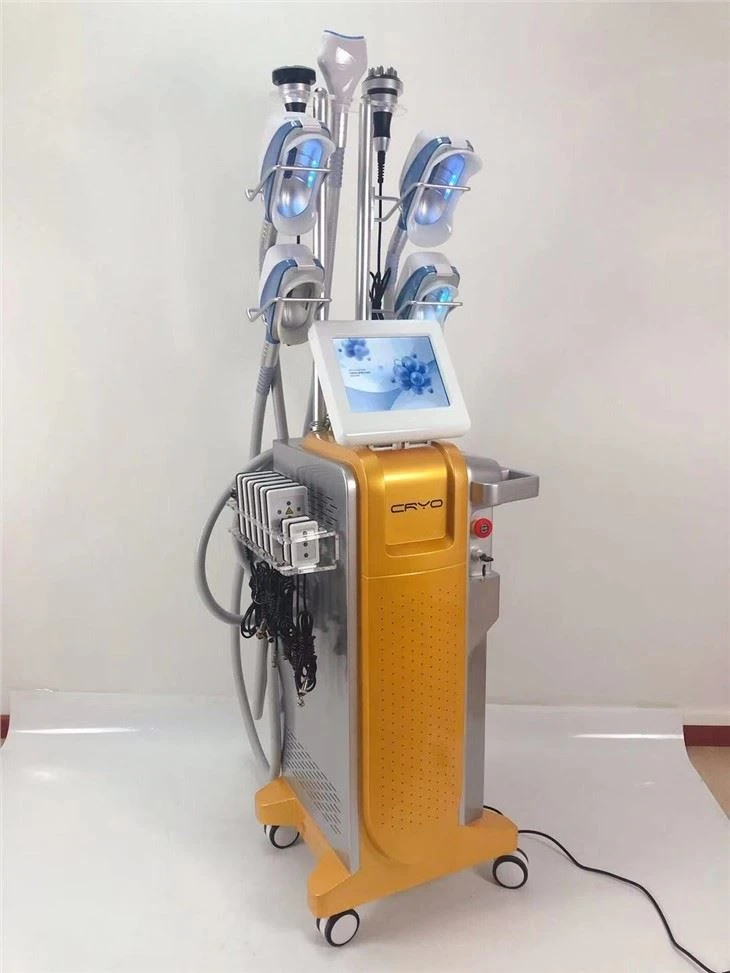 4 Handles Coolsculpting Machine