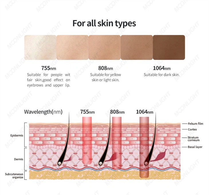 Aesthetic Medicine Soprano Titanium