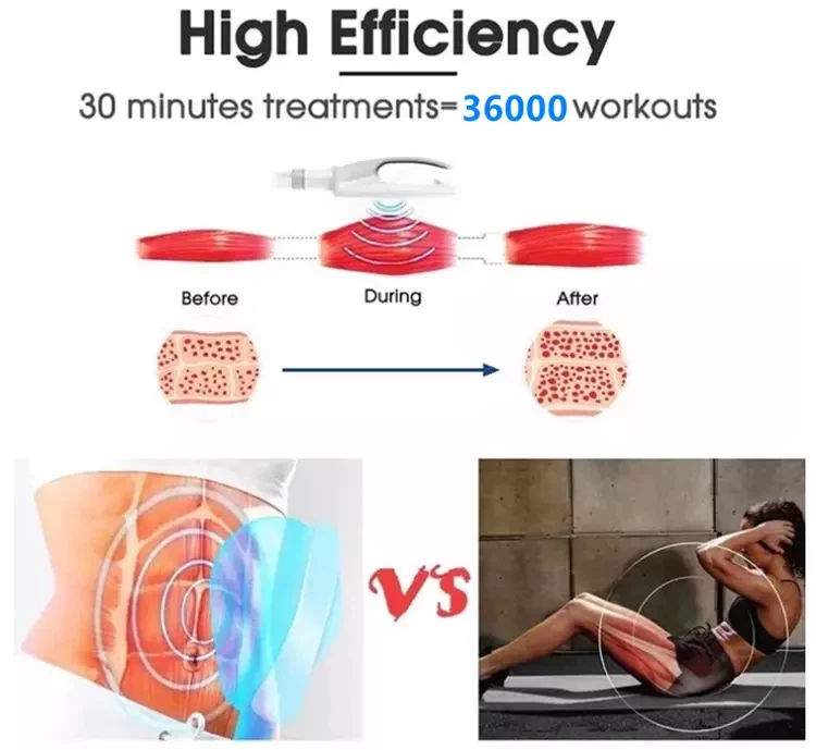 Best Ems Body Sculpt Machine