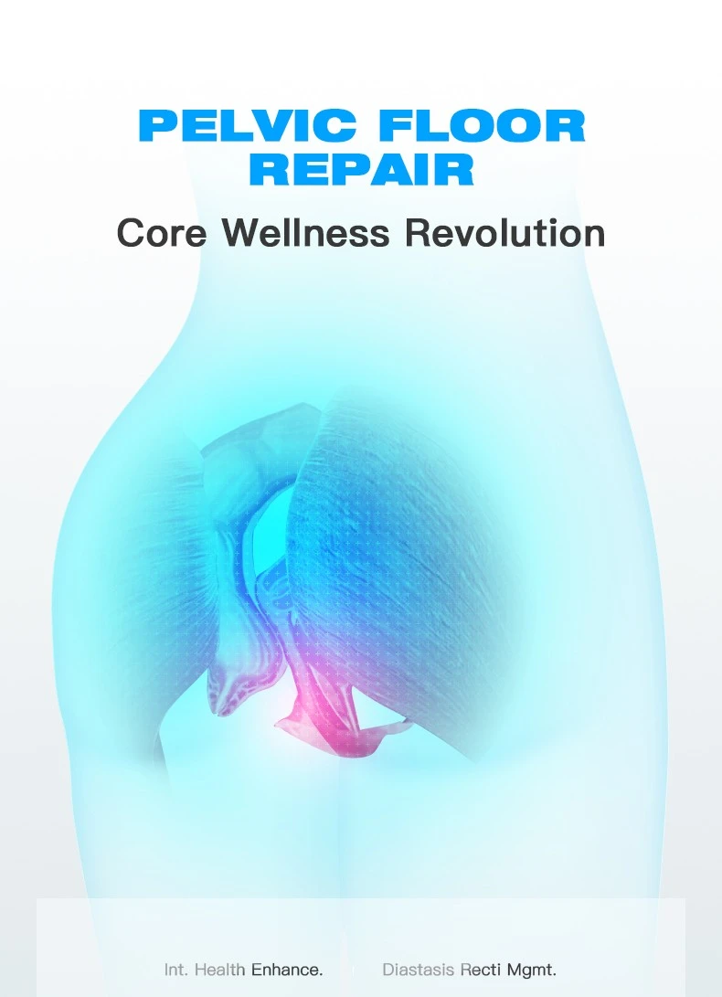 Non-Invasive Magnetic Pelvic Floor Rehabilitation & Intimate Wellness Chair price