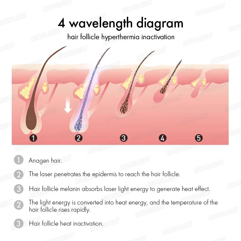 4 Wavelength mnlt 4 Wavelength mnlt